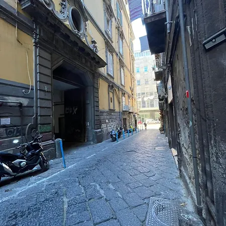 Donnalbina 7 The Fresh Bb