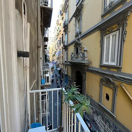 Donnalbina 7 The Fresh Bb Vendégház